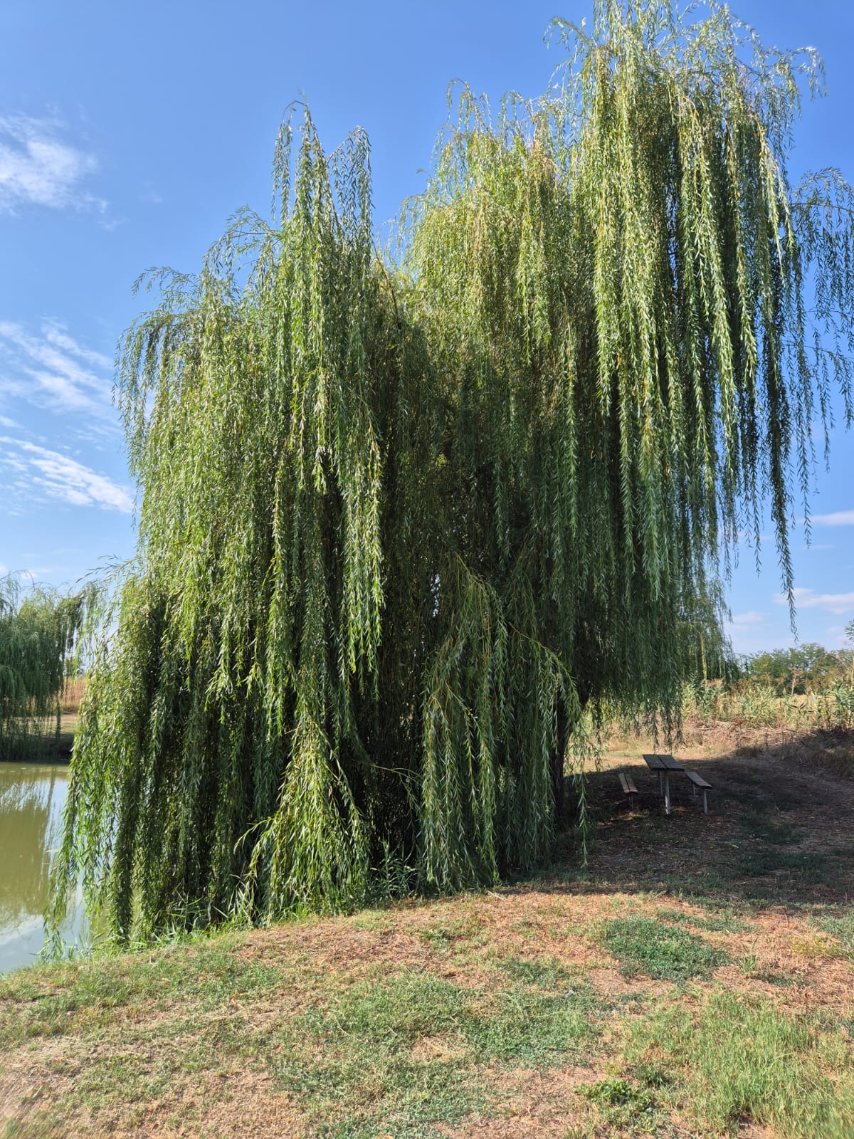 Echipament de pescuit